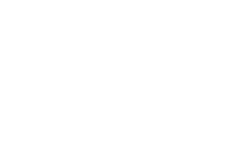 TennisPal Coaching App Explainer Video Logo