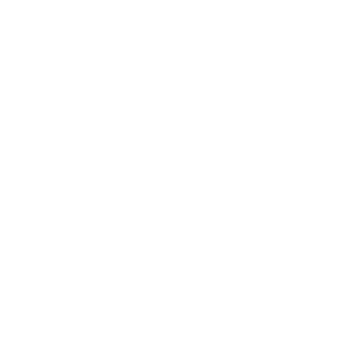 Pioneer Bank Logo