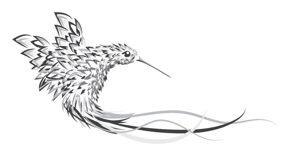 Hummingdream Final Logo Design