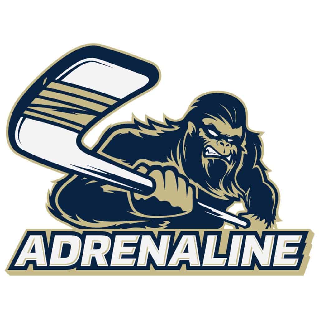 Adrenaline Professional Hockey Logo Character Design